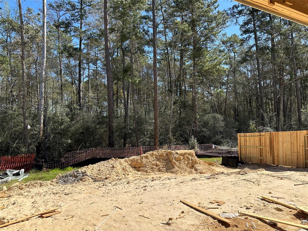 419 Audubons Shearwater Way Court, Magnolia, Texas image 3