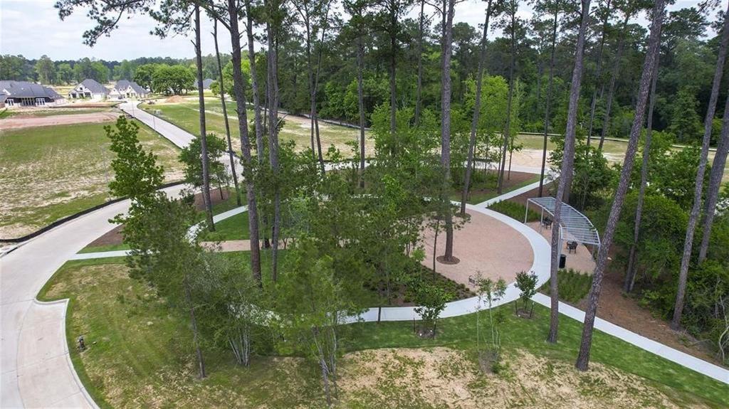 419 Audubons Shearwater Way Court, Magnolia, Texas image 5