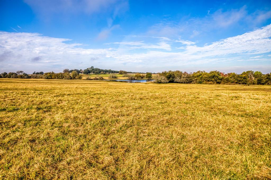 1360 Bluebonnet Ridge Dr, Chappell Hill, Texas image 9