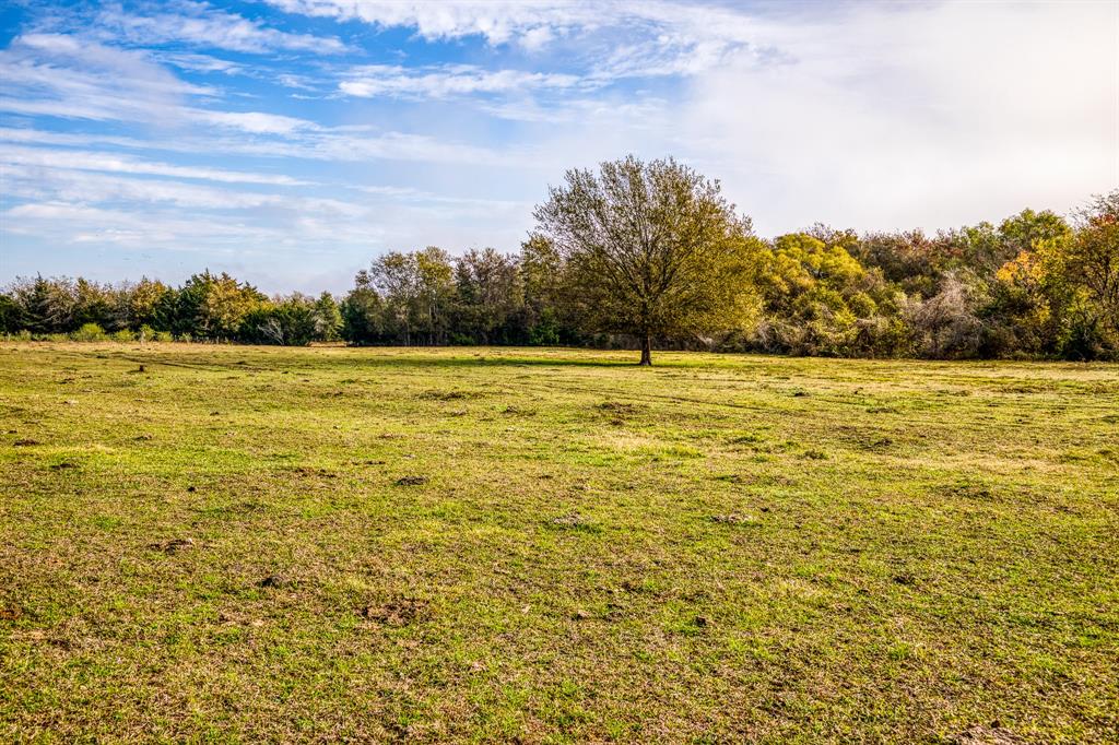 1360 Bluebonnet Ridge Dr, Chappell Hill, Texas image 3