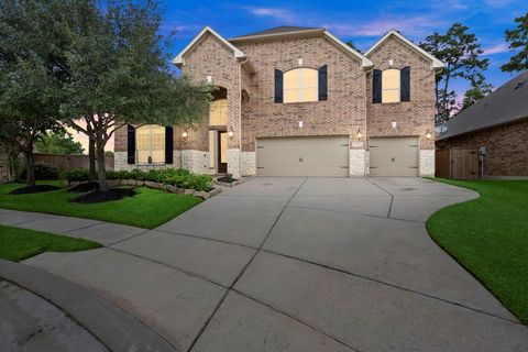 13518 Ambler Springs Drive Tomball TX 77377