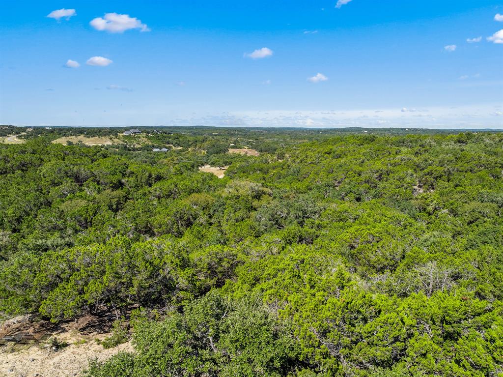 2874 Elder Hill Road, Driftwood, Texas image 41