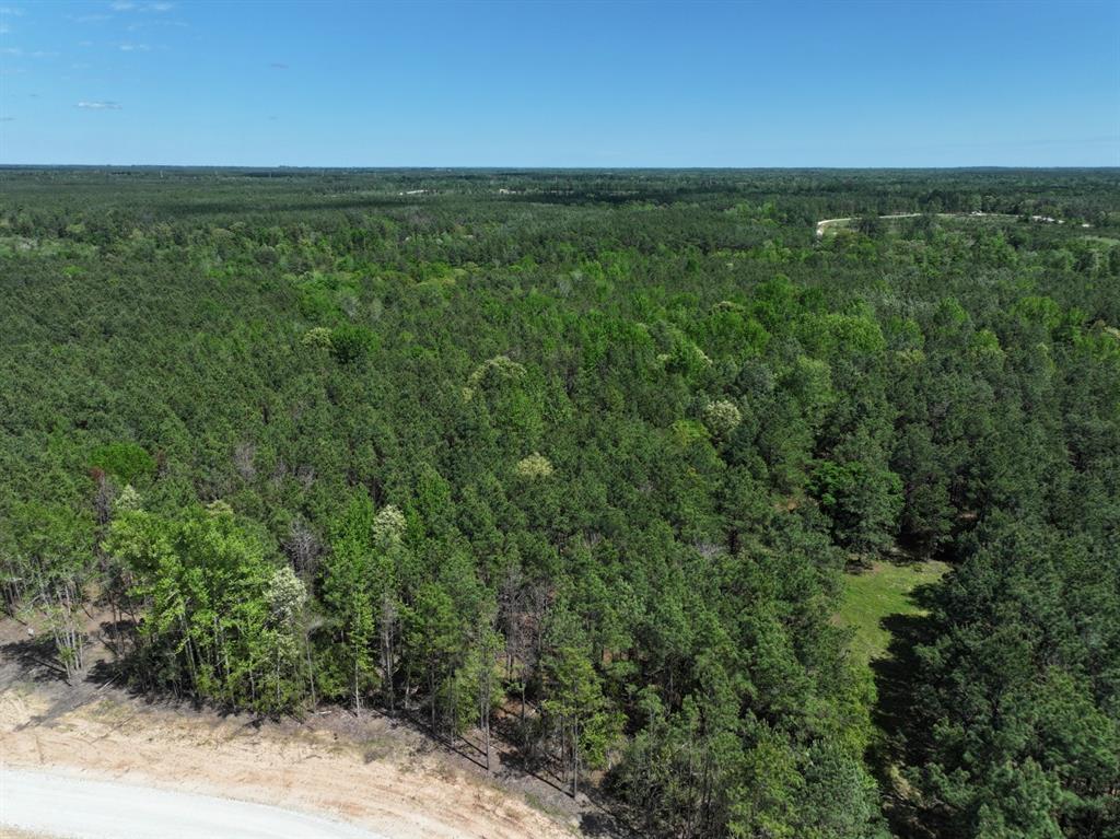 475 Cherokee Trail, Lovelady, Texas image 10