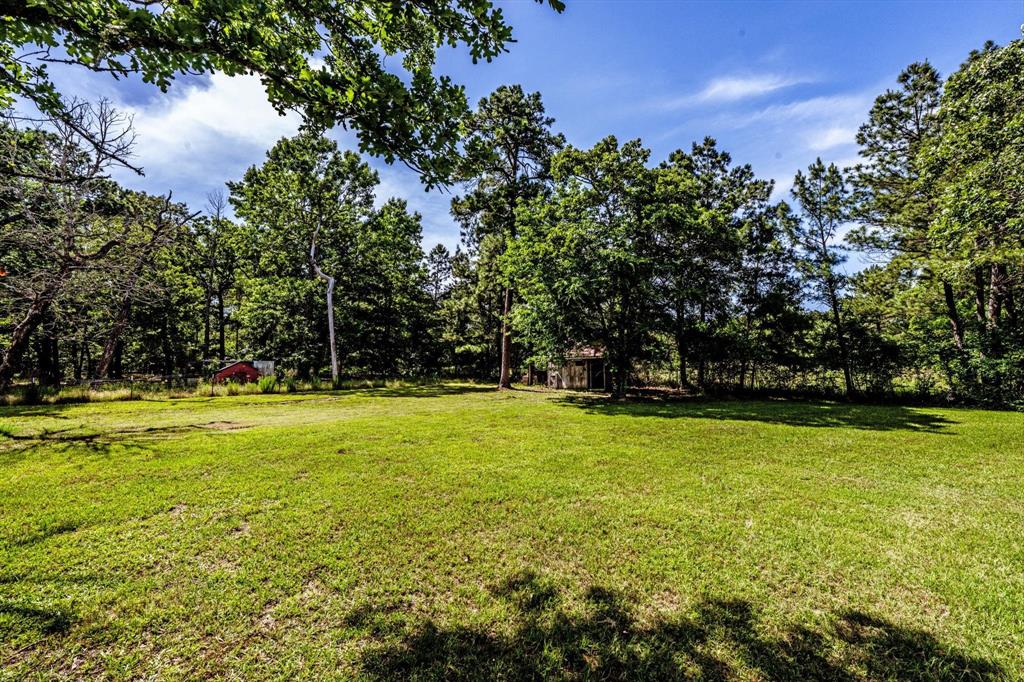 206 William Thomas Road, Huntsville, Texas image 32