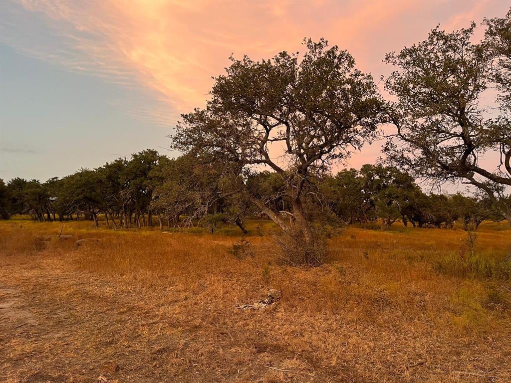 TBD Lot 9 County Road 340, Burnet, Texas image 3