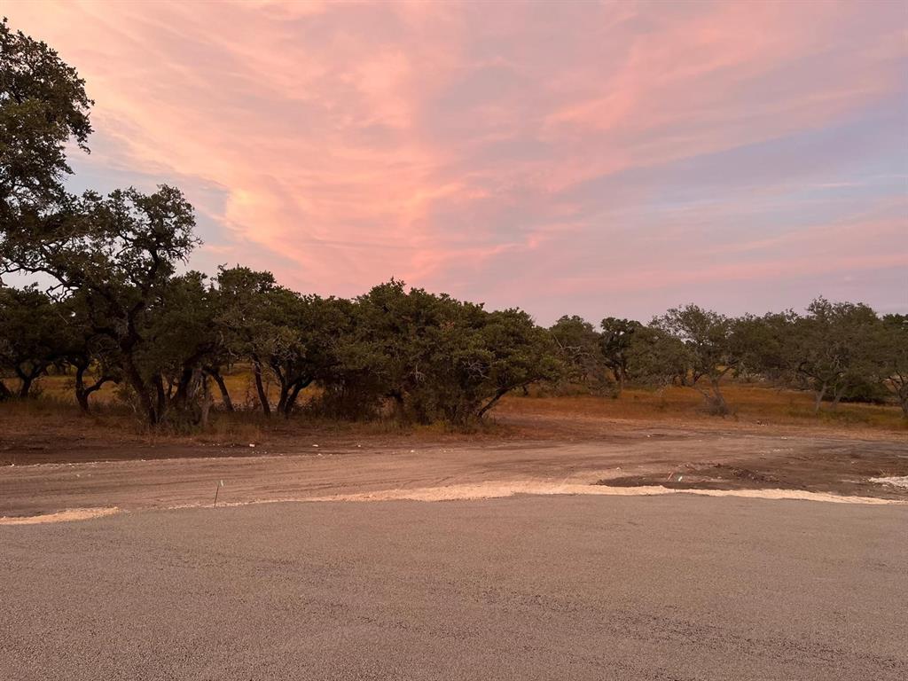 TBD Lot 9 County Road 340, Burnet, Texas image 5