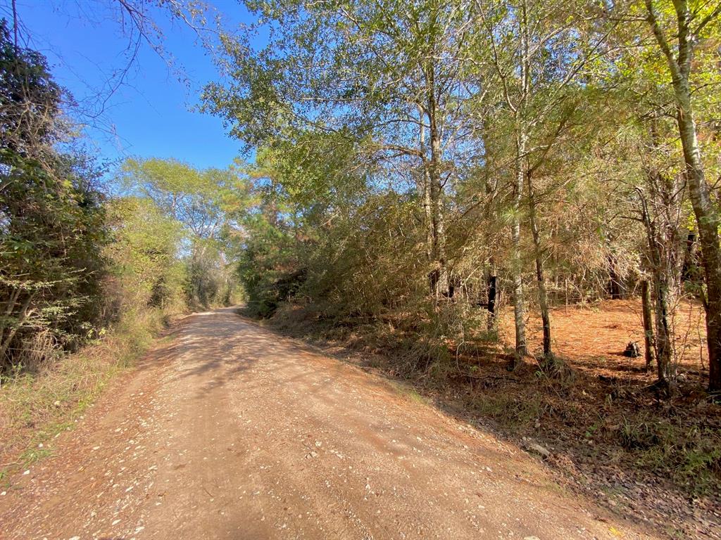 TBD Cr 4030, Crockett, Texas image 3