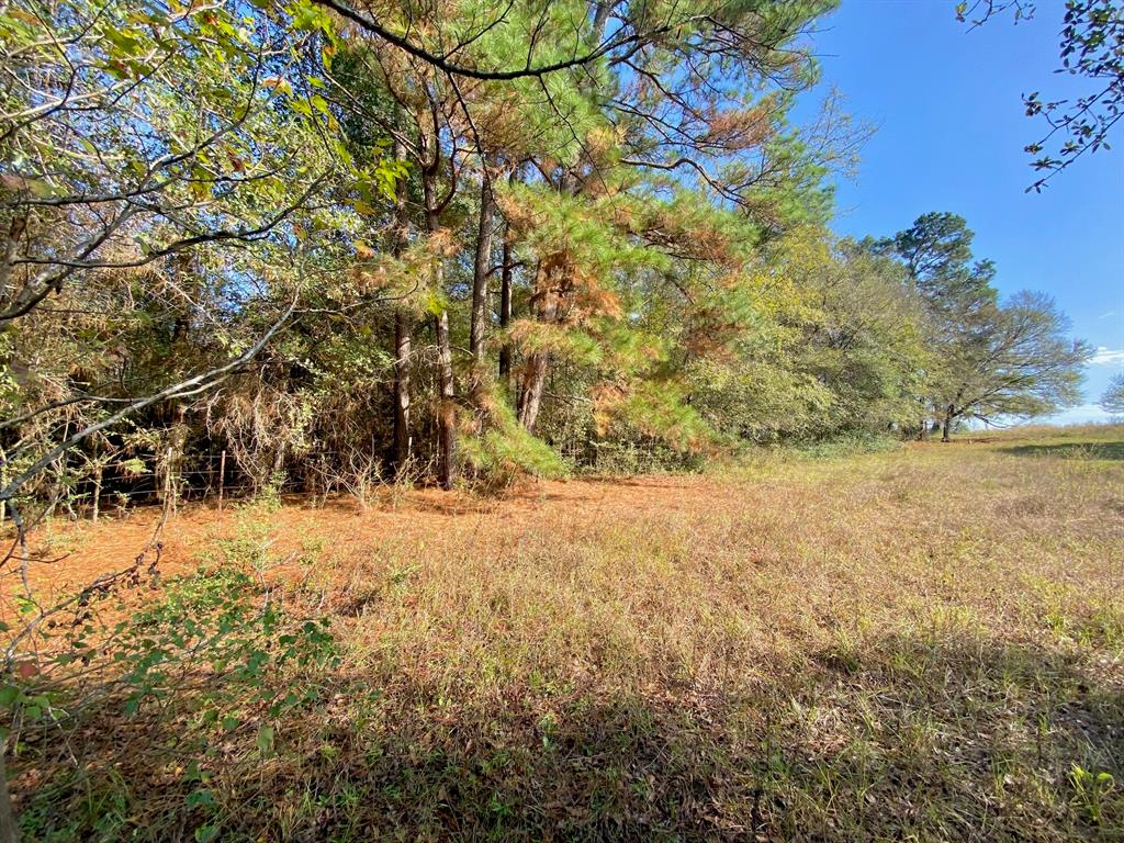 TBD Cr 4030, Crockett, Texas image 1