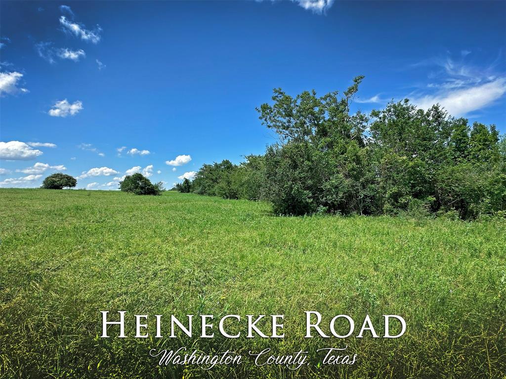- Kolkhorst Schultz - Heinecke Road, Washington, Texas image 1