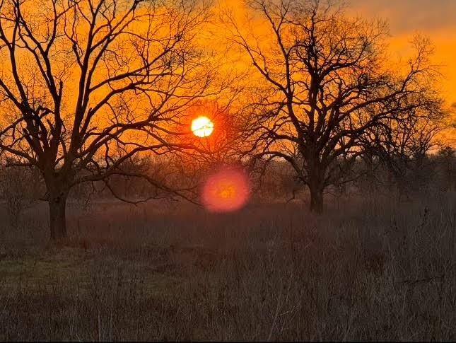 TBD County Road 123, Centerville, Texas image 6