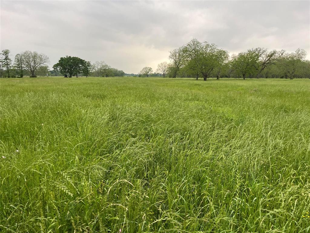 TBD County Road 123, Centerville, Texas image 15