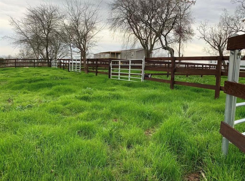 TBD County Road 123, Centerville, Texas image 24