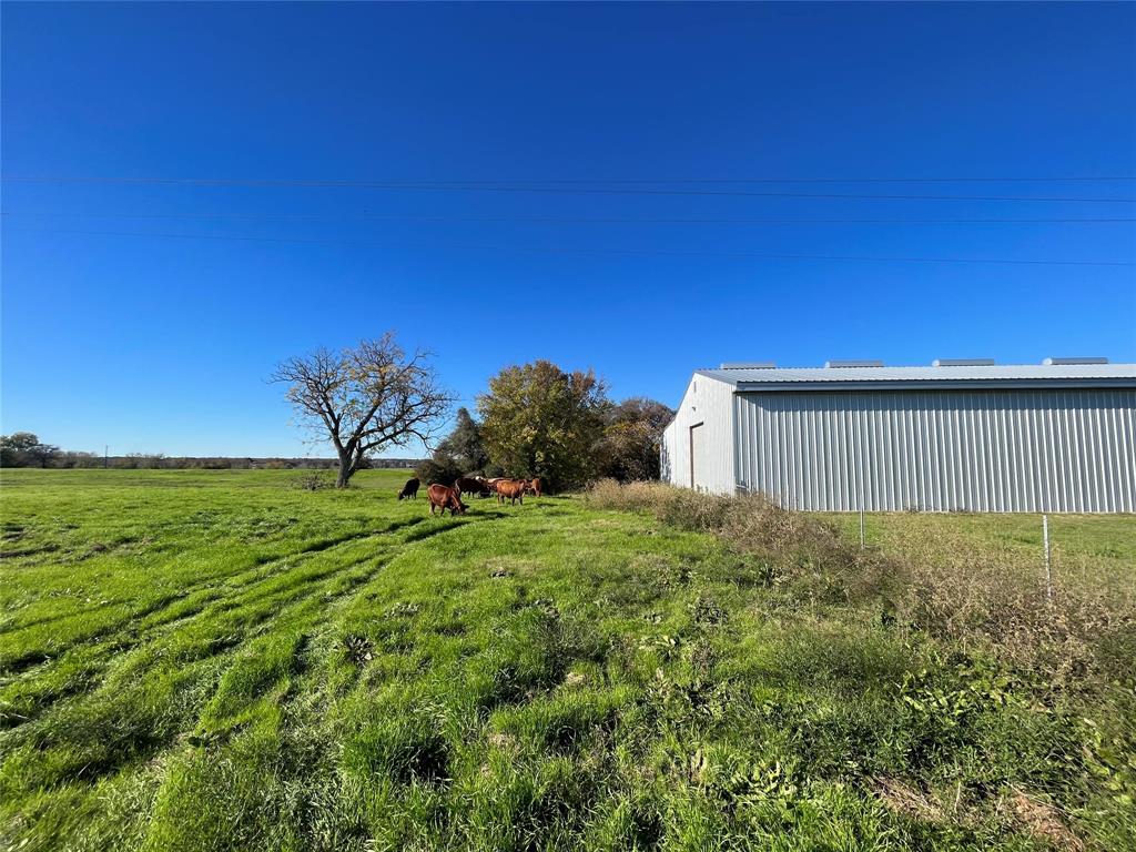 TBD County Road 123, Centerville, Texas image 12