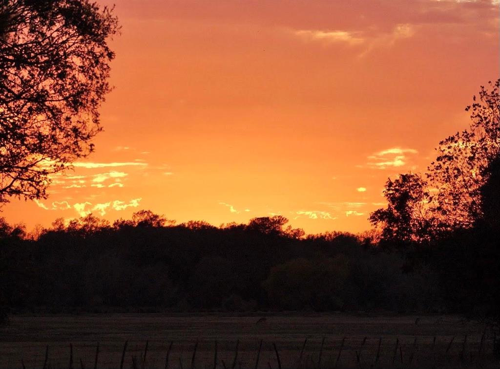 TBD County Road 123, Centerville, Texas image 30