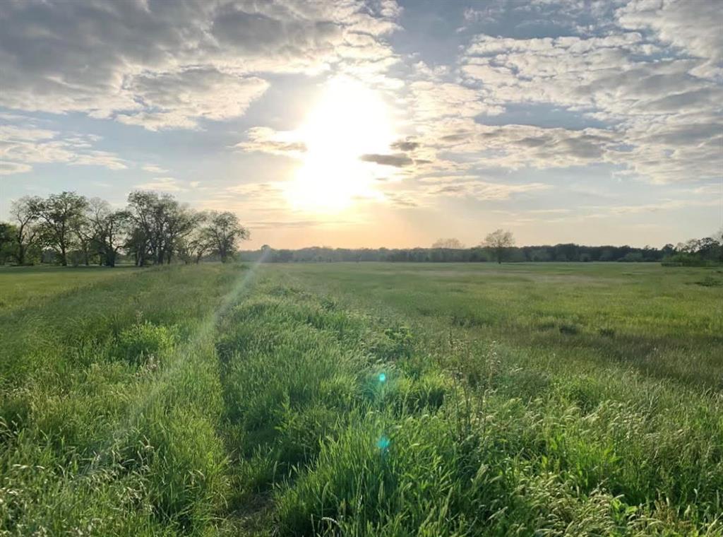 TBD County Road 123, Centerville, Texas image 27