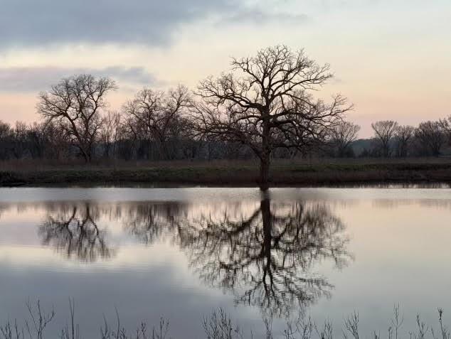 TBD County Road 123, Centerville, Texas image 17