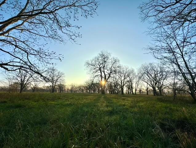 TBD County Road 123, Centerville, Texas image 19