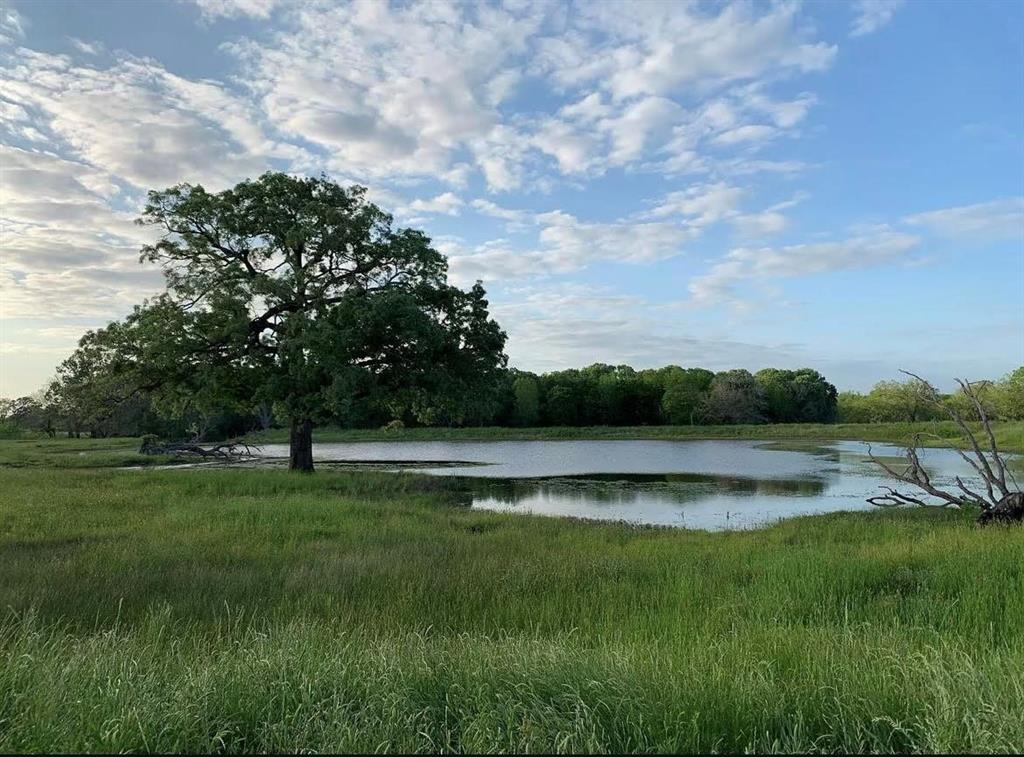 TBD County Road 123, Centerville, Texas image 1