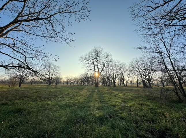 TBD County Road 123, Centerville, Texas image 3