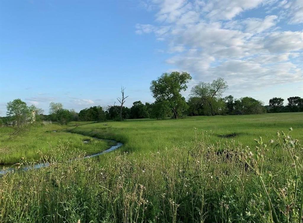 TBD County Road 123, Centerville, Texas image 28