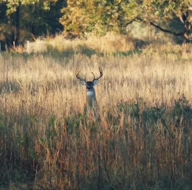 TBD County Road 123, Centerville, Texas image 9