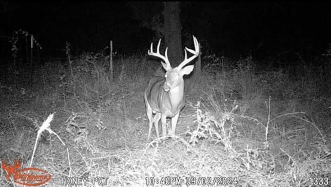 TBD County Road 123, Centerville, Texas image 39