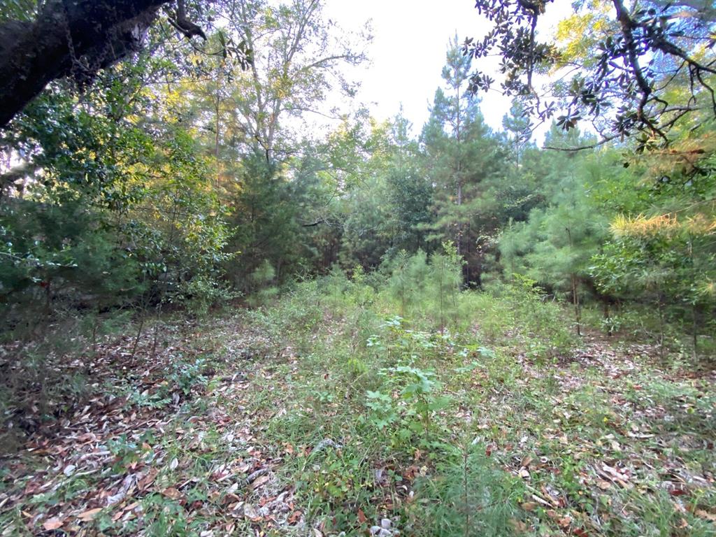 TBD Sandy Lane Lane, Point Blank, Texas image 2