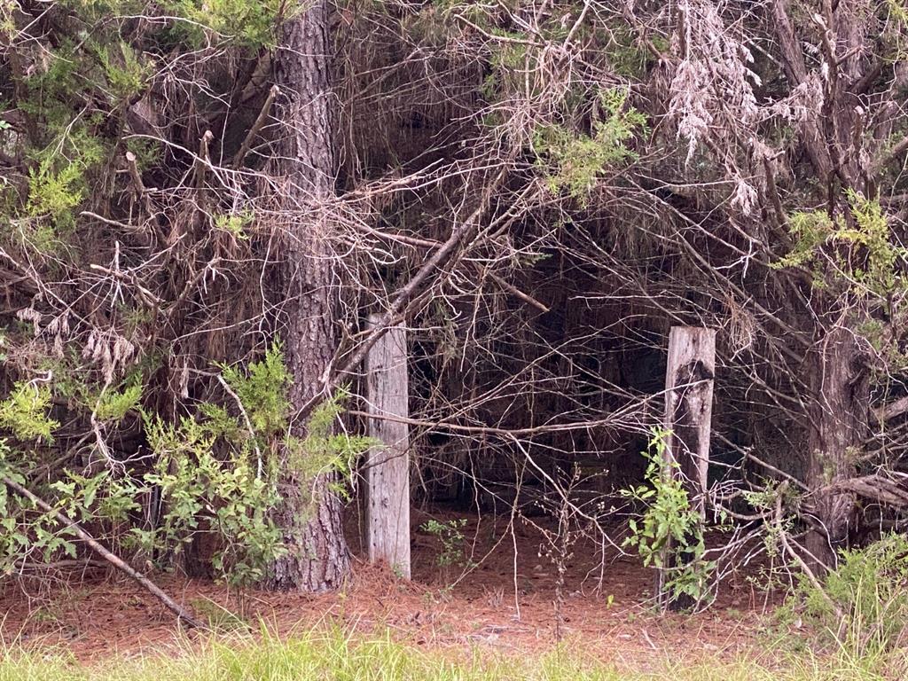 TBD Sandy Lane Lane, Point Blank, Texas image 11