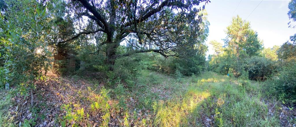 TBD Sandy Lane Lane, Point Blank, Texas image 8