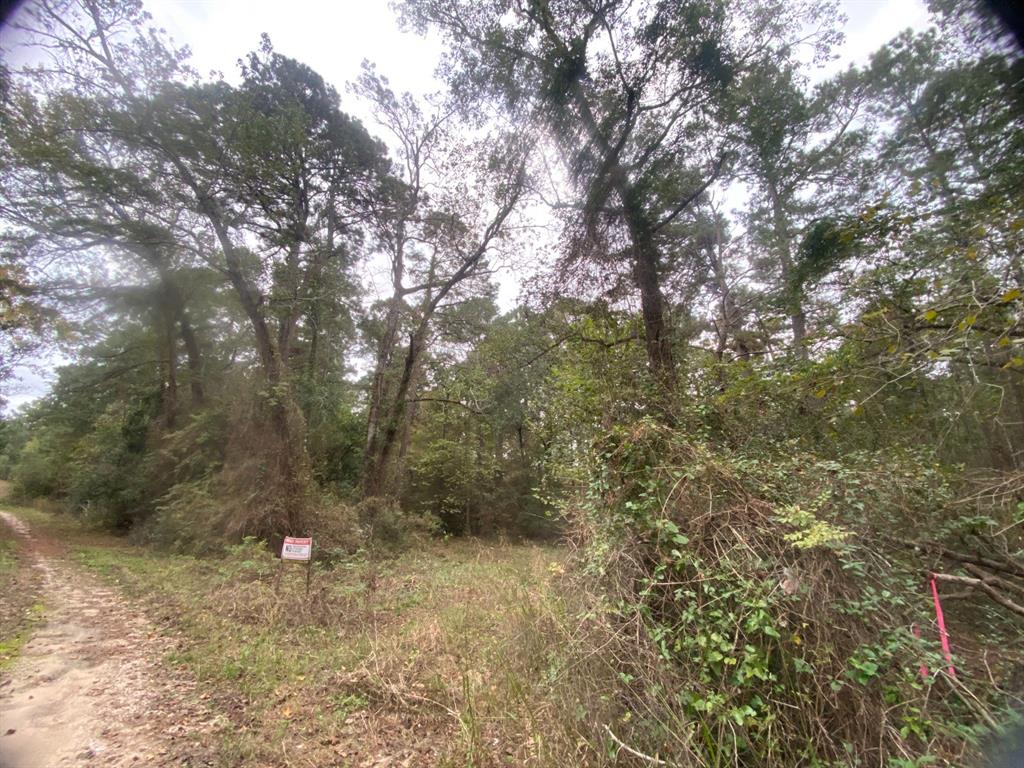 TBD Sandy Lane Lane, Point Blank, Texas image 4