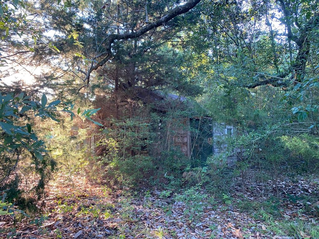 TBD Sandy Lane Lane, Point Blank, Texas image 9