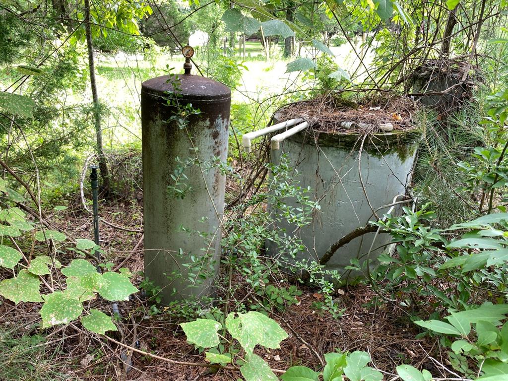 TBD Sandy Lane Lane, Point Blank, Texas image 6