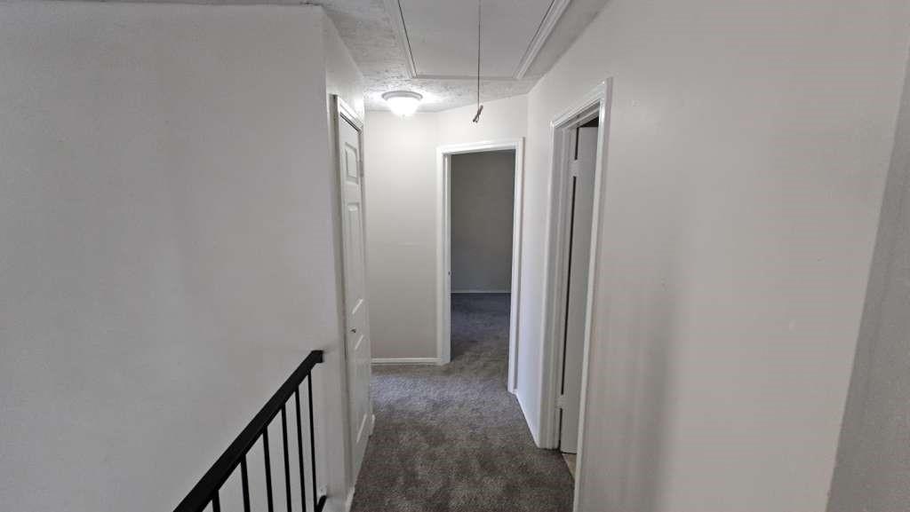 12926 Bamboo Forest Trail, Houston, Texas image 14