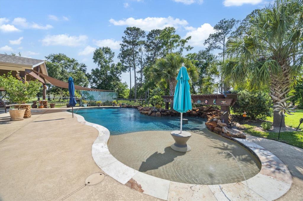 22460 Fatheree Drive, Porter, Texas image 29