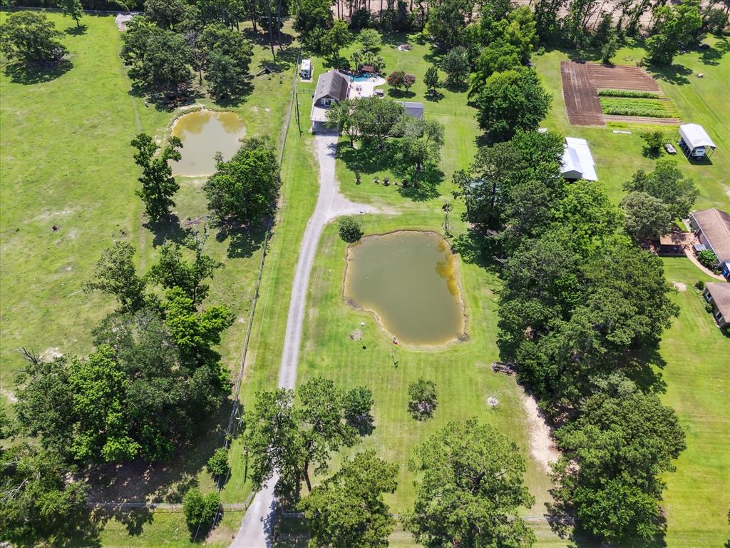 22460 Fatheree Drive, Porter, Texas image 1