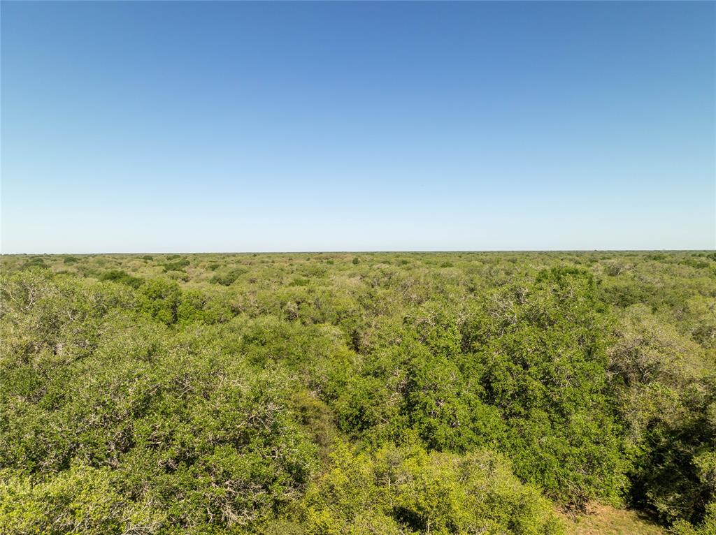 Nursery Road, Victoria, Texas image 36