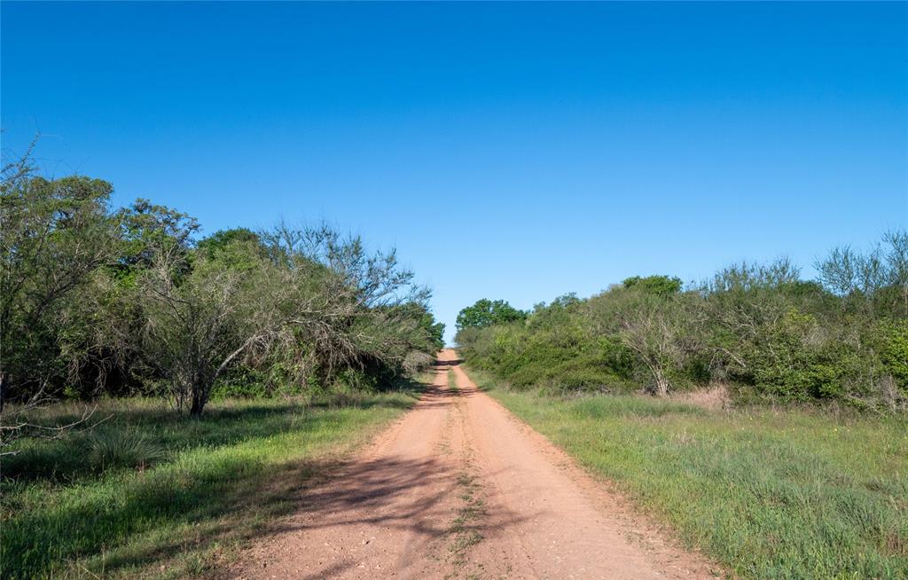 Nursery Road, Victoria, Texas image 6