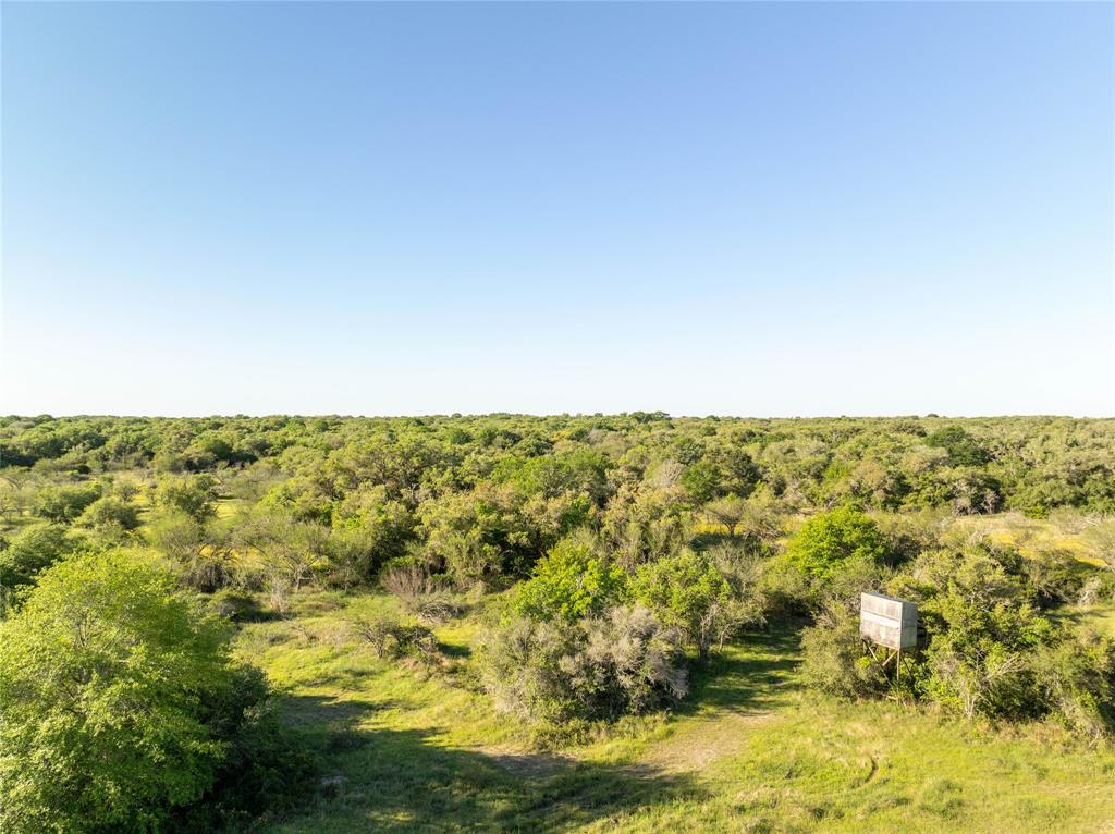 Nursery Road, Victoria, Texas image 27