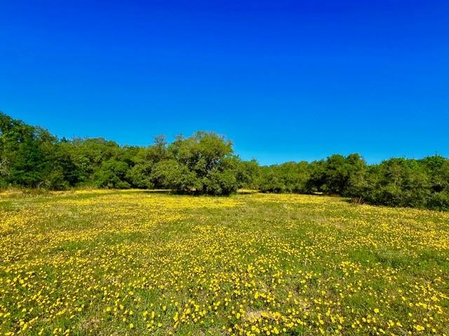 Nursery Road, Victoria, Texas image 2