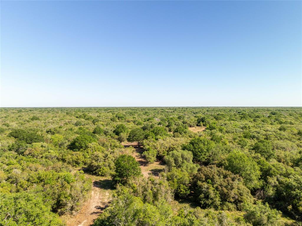 Nursery Road, Victoria, Texas image 38