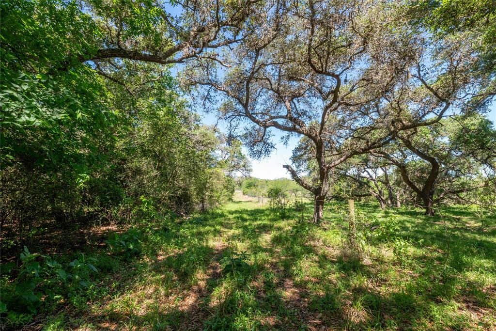 Nursery Road, Victoria, Texas image 17