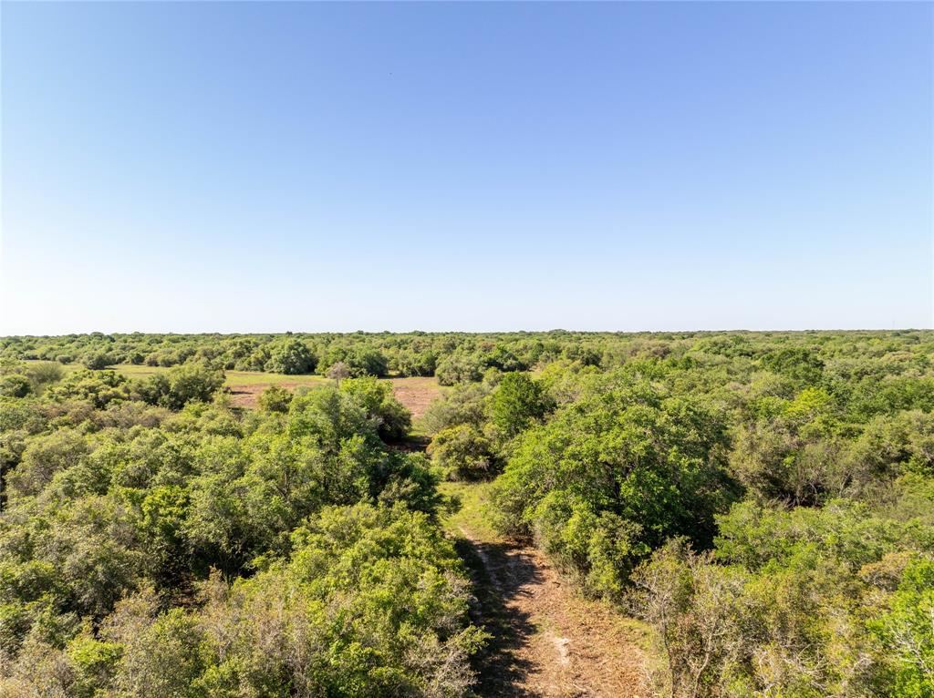 Nursery Road, Victoria, Texas image 35