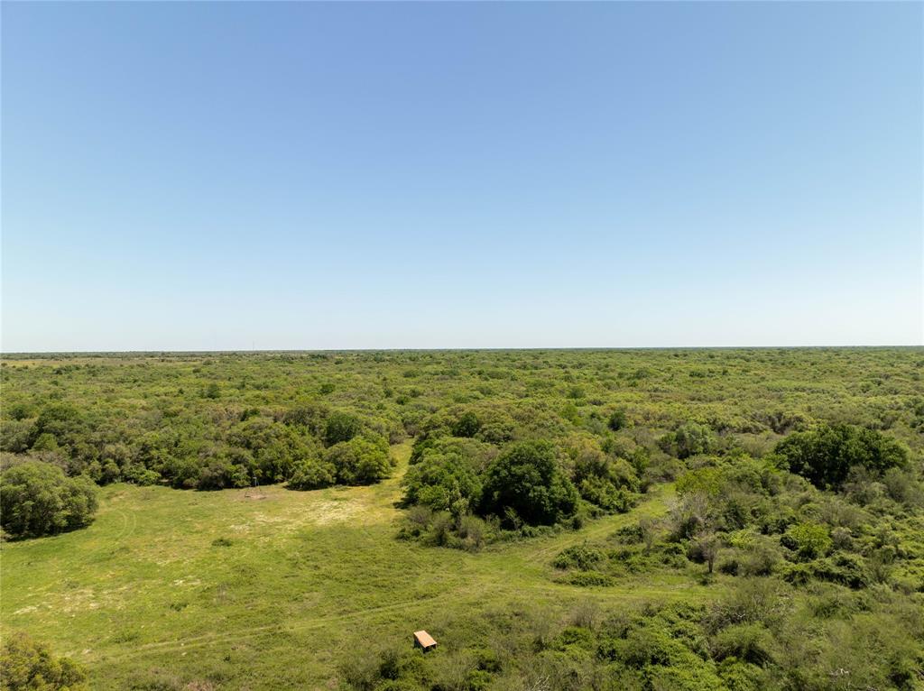 Nursery Road, Victoria, Texas image 13