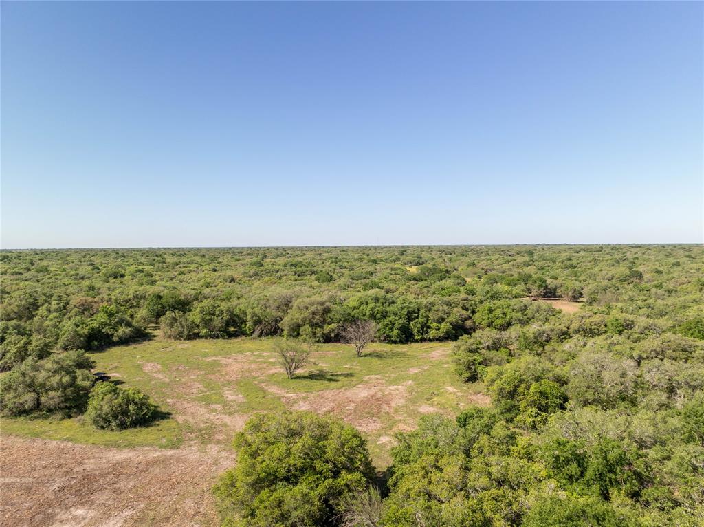 Nursery Road, Victoria, Texas image 37