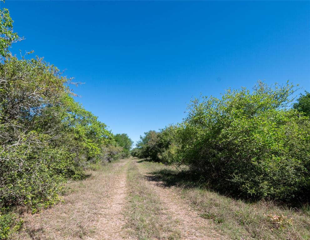 Nursery Road, Victoria, Texas image 43