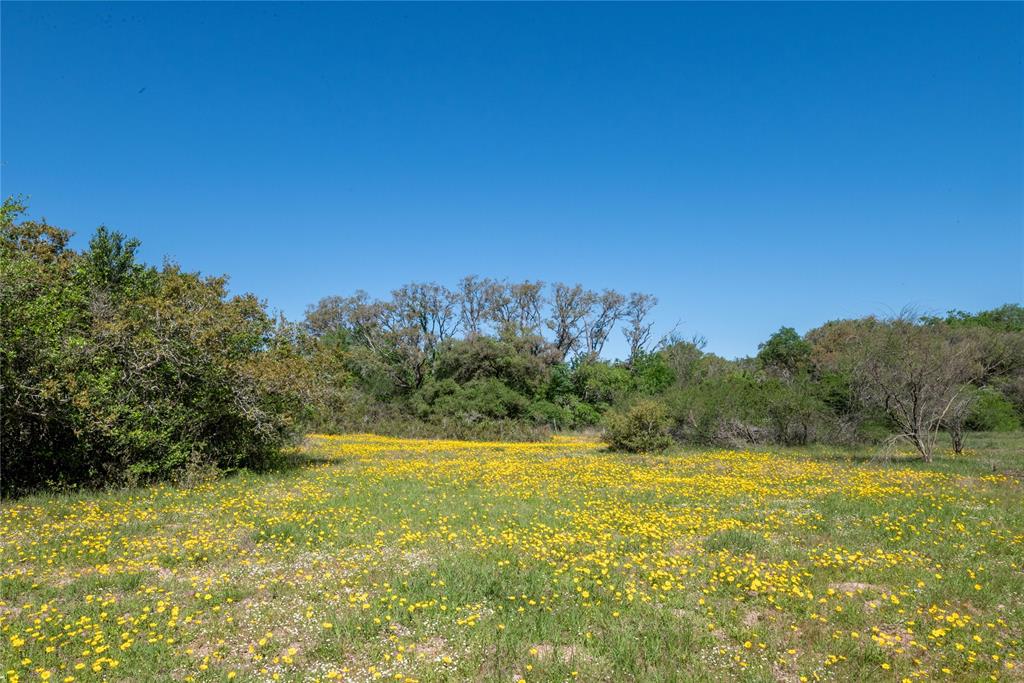 Nursery Road, Victoria, Texas image 14