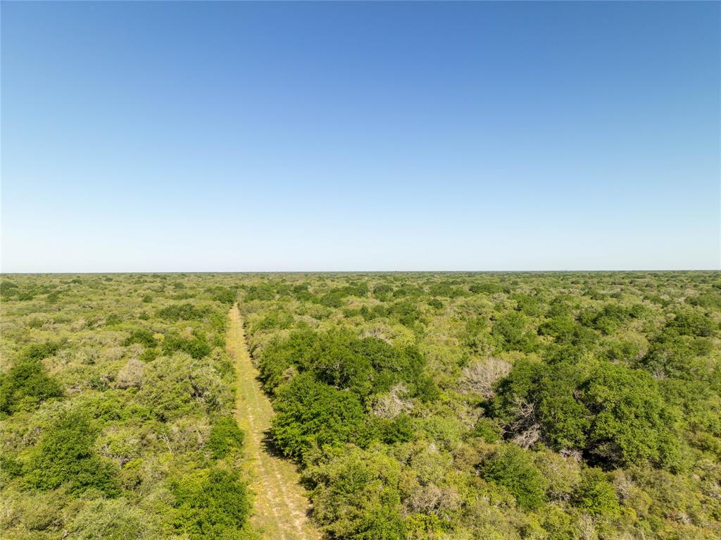 Nursery Road, Victoria, Texas image 34