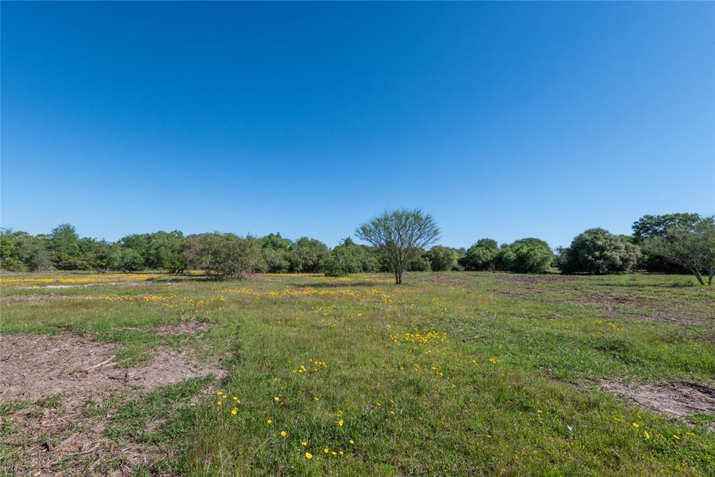 Nursery Road, Victoria, Texas image 39