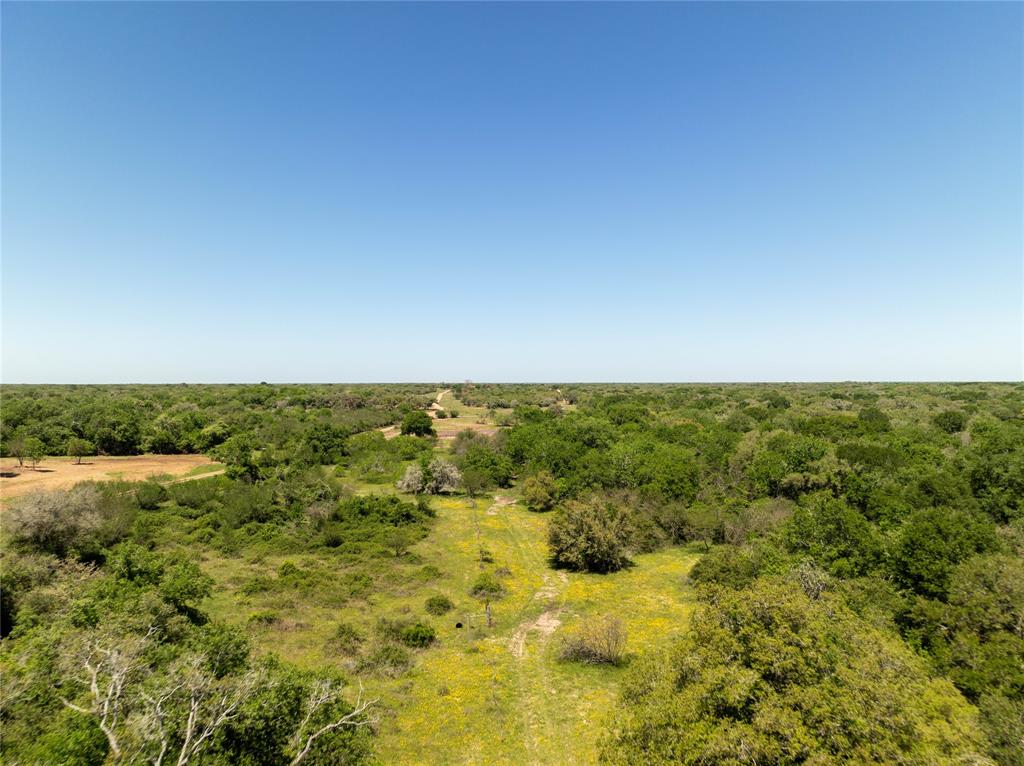 Nursery Road, Victoria, Texas image 9