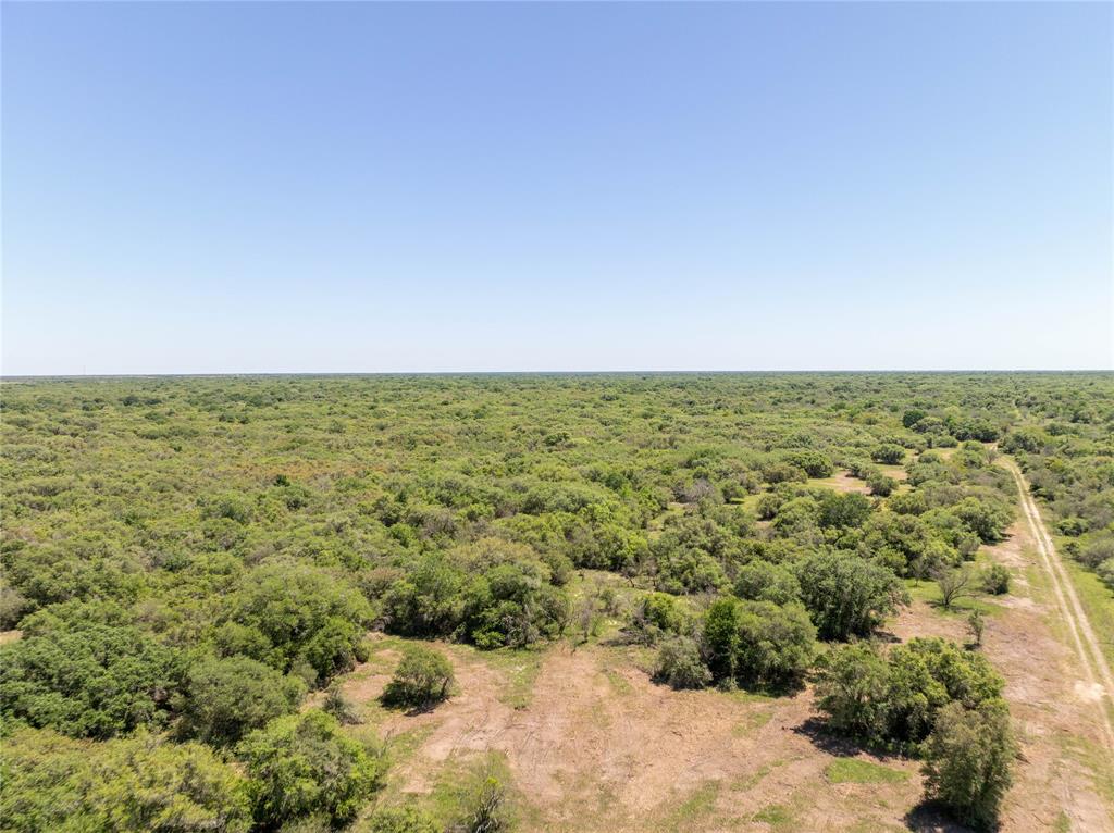 Nursery Road, Victoria, Texas image 23